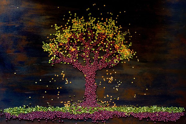 Can a Plant-Based Diet Alleviate Symptoms of Polycystic Ovary Syndrome (PCOS)?